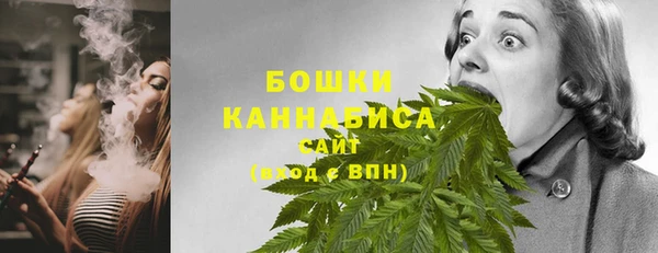 PSILOCYBIN Богданович