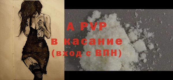PSILOCYBIN Богданович