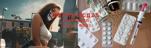 PSILOCYBIN Богданович