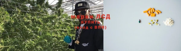 PSILOCYBIN Богданович