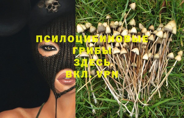 мдма Богородицк