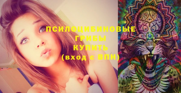мдма Богородицк
