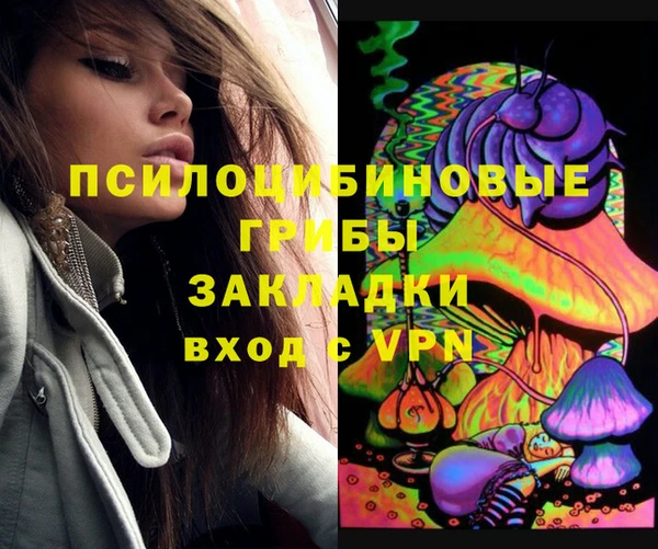 PSILOCYBIN Богданович