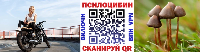 Псилоцибиновые грибы мухоморы закладка Болгар